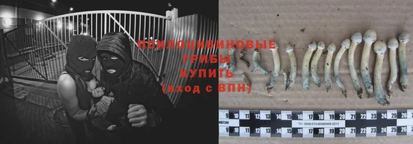 spice Волосово