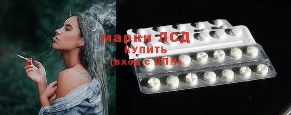 ПСИЛОЦИБИНОВЫЕ ГРИБЫ Вязьма