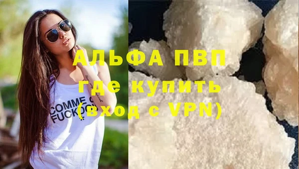 ПСИЛОЦИБИНОВЫЕ ГРИБЫ Вязьма