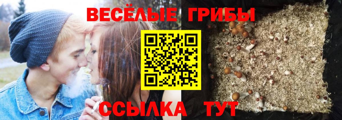 Псилоцибиновые грибы прущие грибы Мценск