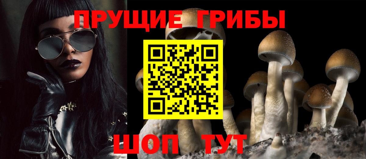 A-PVP Мценск