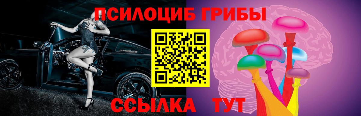 Галлюциногенные грибы Psilocybine cubensis  Вход с VPN  Псилоцибиновые грибы Psilocybine cubensis  Мценск 